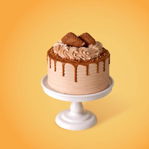 Tiny Caramela Web-85 (2)